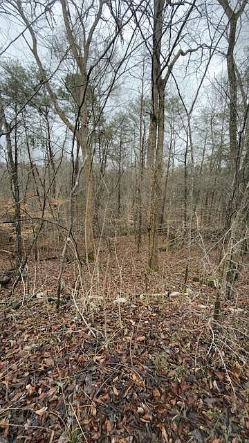 1st image of 20 Buck Tail Dr