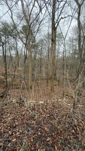 21 Buck Tail Dr #5.3, Burnside, KY, 42519