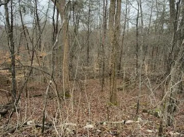 20 Buck Tail Dr, Burnside, KY 42519