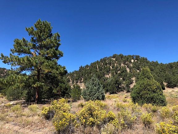 4th image of 31 Acres Cres #634.2