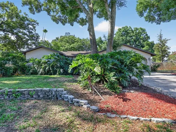 2713 Willow Oaks Dr, Valrico, FL 33594