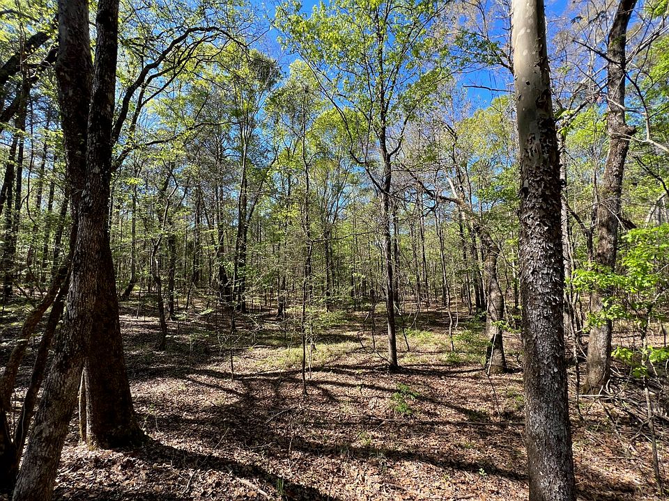 0 County Road 336, Sardis, AL 36775 Zillow