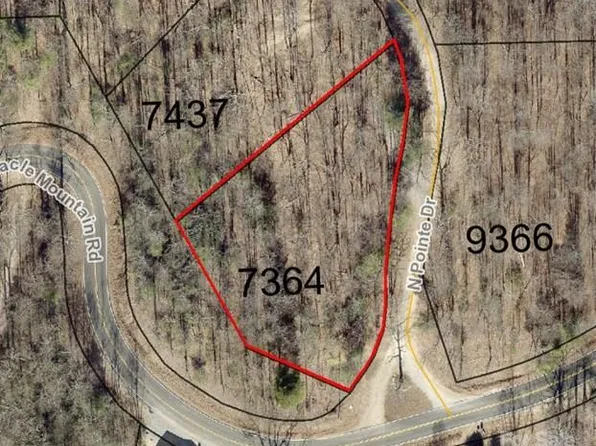 999999 N Pointe Dr #1, Zirconia, NC 28790