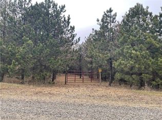 Ridgeview Rd, Chandlersville, OH 43727