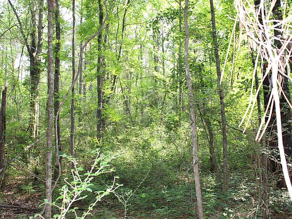 5th image of Carpenters Landing Rd