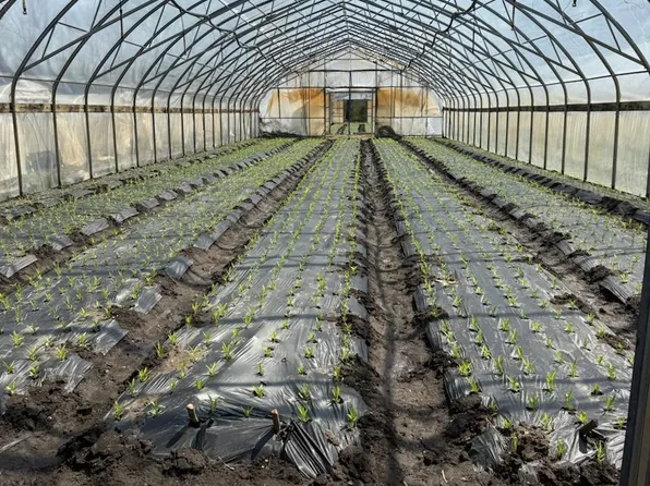 427 Isaac Budd Rd, Southampton, NJ 08088