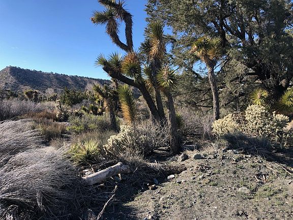 2nd image of 7538 Scrub Oak Dr