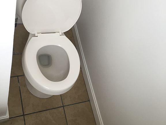 new toilet