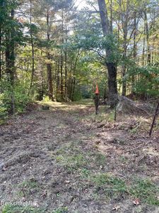 0 Hartsville New Marlborough Rd, Great Barrington, MA, 01230