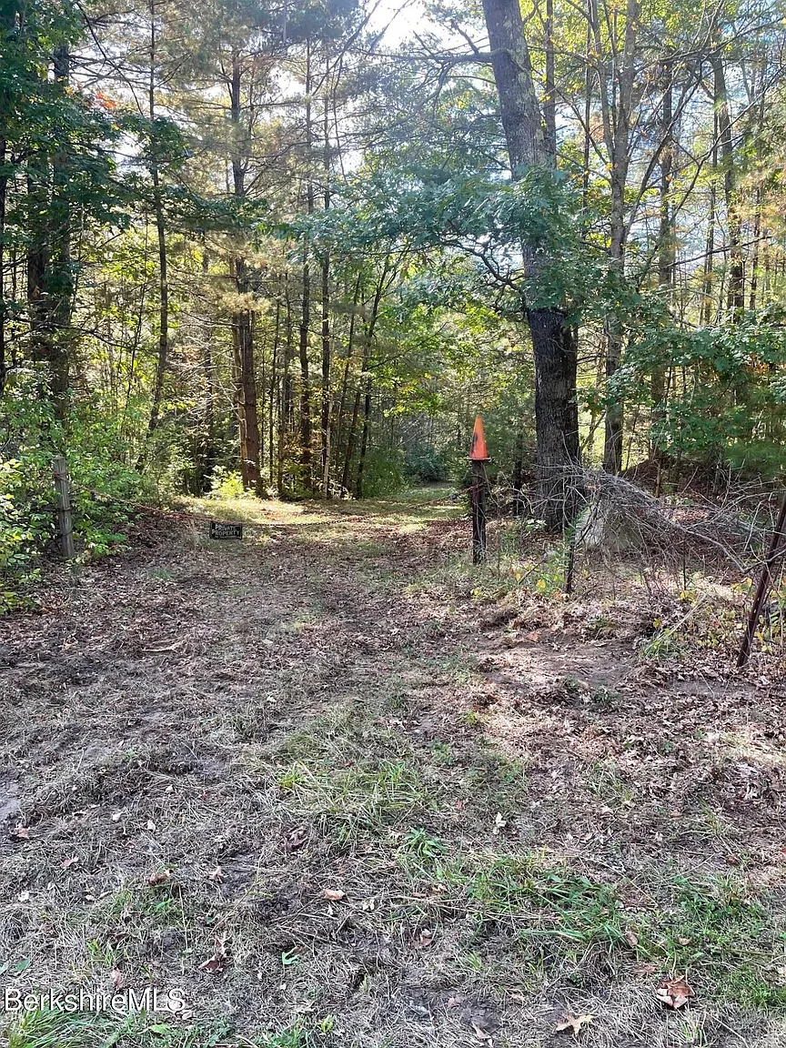 0 Hartsville New Marlborough Rd photo 1