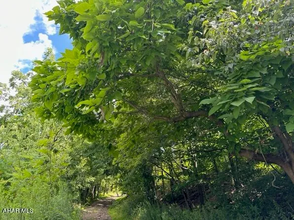 LOT Lockards Ln #B, Claysburg, PA 16625