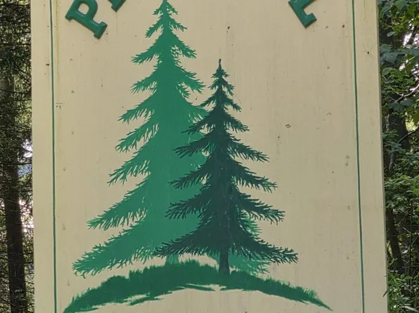 LOT 21 Daffodil Dr, Newfoundland, PA 18445