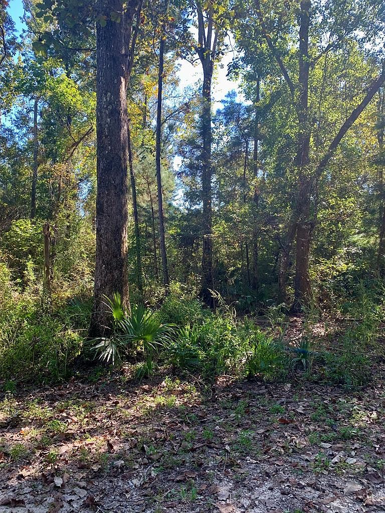 Lot 9 Riverside Cir, Wewahitchka, Fl 32465 