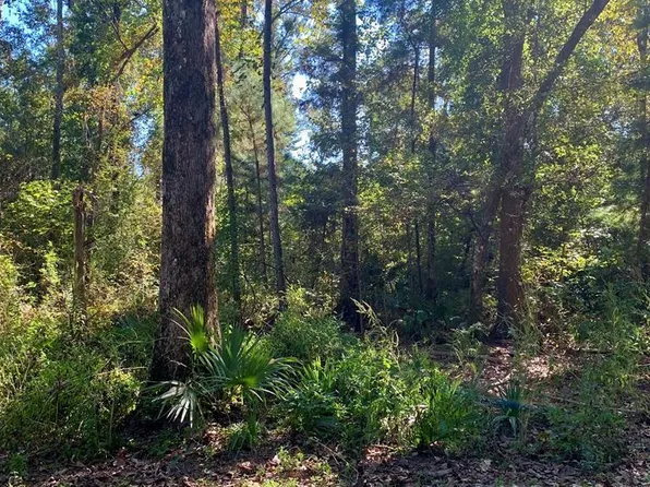 LOT 9 Riverside Cir Lot 9, Wewahitchka, FL 32465