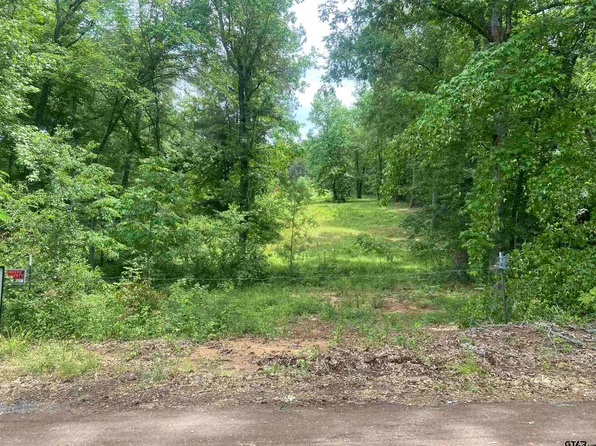 17407 County Road 4247 W, Reklaw, TX 75784