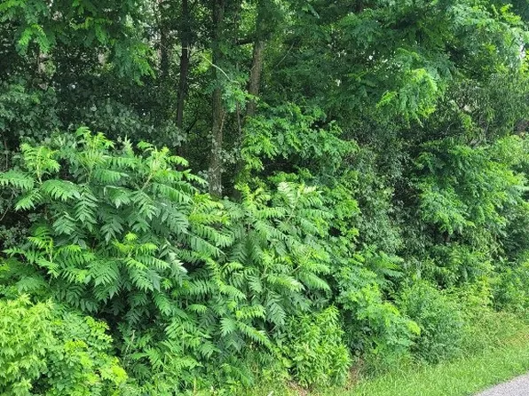 Hadberg Rd, Harborcreek, PA 16421