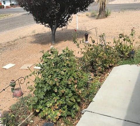 2nd image of 7342 E Dome Rock Dr