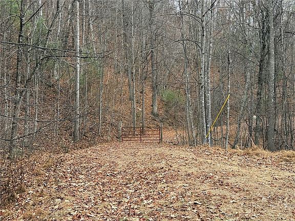 5th image of Lot 218 Casey Mountain Road