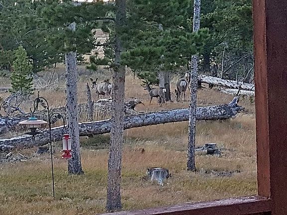 3rd image of 33 Whistling Pine Dr