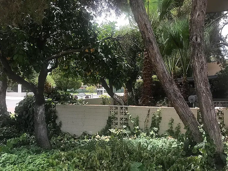 The Hibiscus Biltmore Apartments — Photo 23