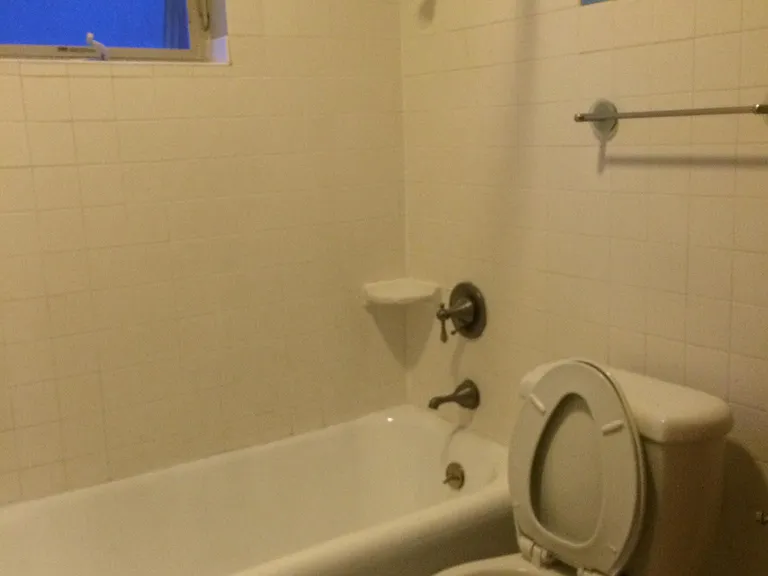 Bathroom Tub and Shower