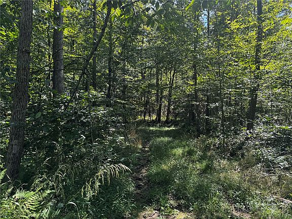 5th image of 0 Slatertown Rd