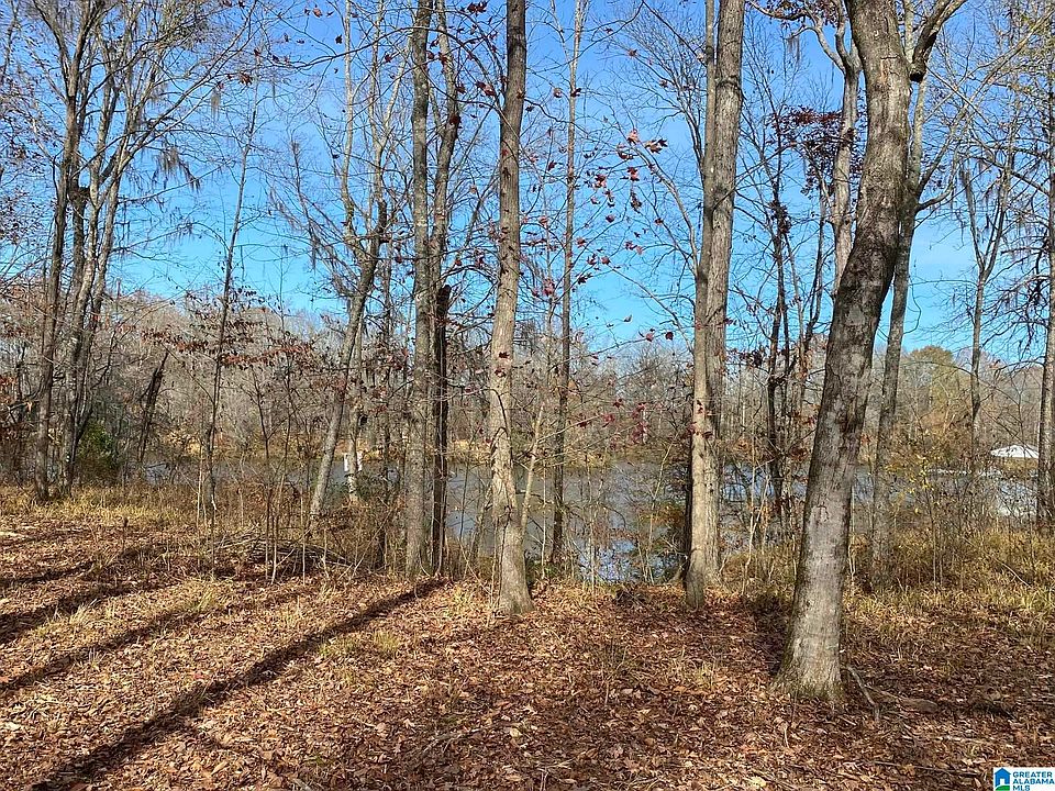 LOT 20 Heron Dr, Lowndesboro, AL 36752 Zillow