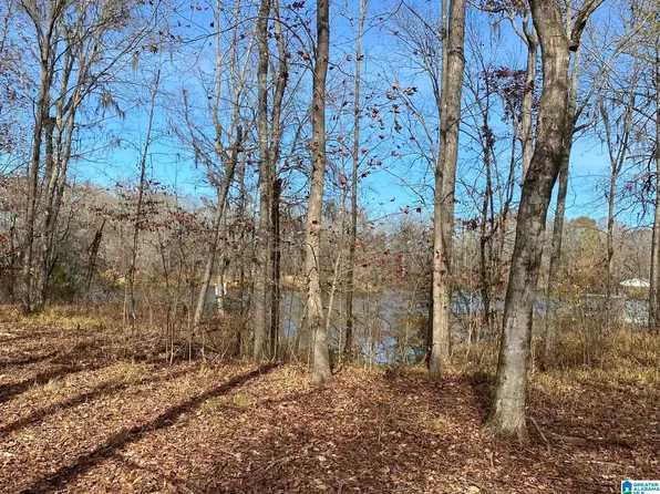 LOT 20 Heron Dr, Lowndesboro, AL 36752
