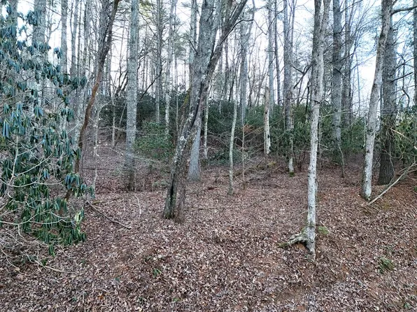 1 Papas Mountain Rd, Blairsville, GA 30512