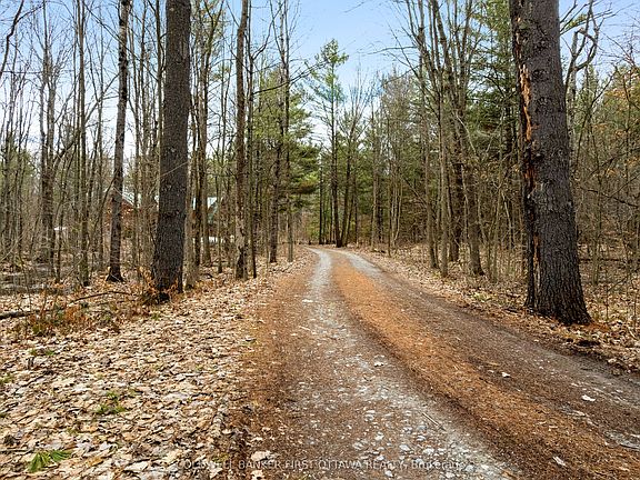 2nd image of 145 Mallens Rd