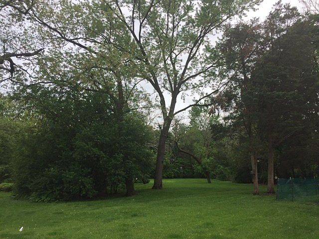 2nd image of 1129 Aurora Way
