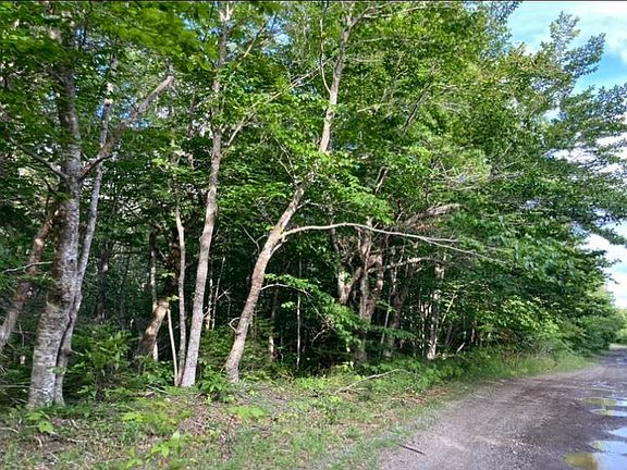 2nd image of Simons Rd