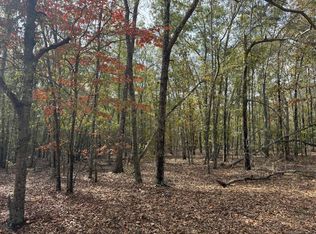 Lot 11 Highway 88, Blythe, GA 30805