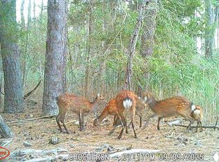 Brady Todd Rd, Crocheron, MD 21627