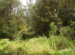 40th St LOT 46, Kurtistown, HI 96760