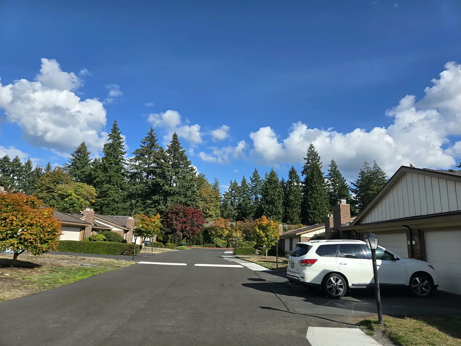 3 bed, 1280 sqft, $3,350 — Photo 2
