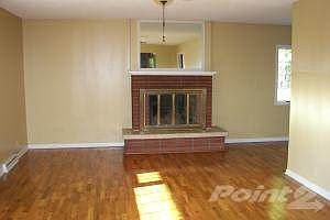 Living Room - Fireplace