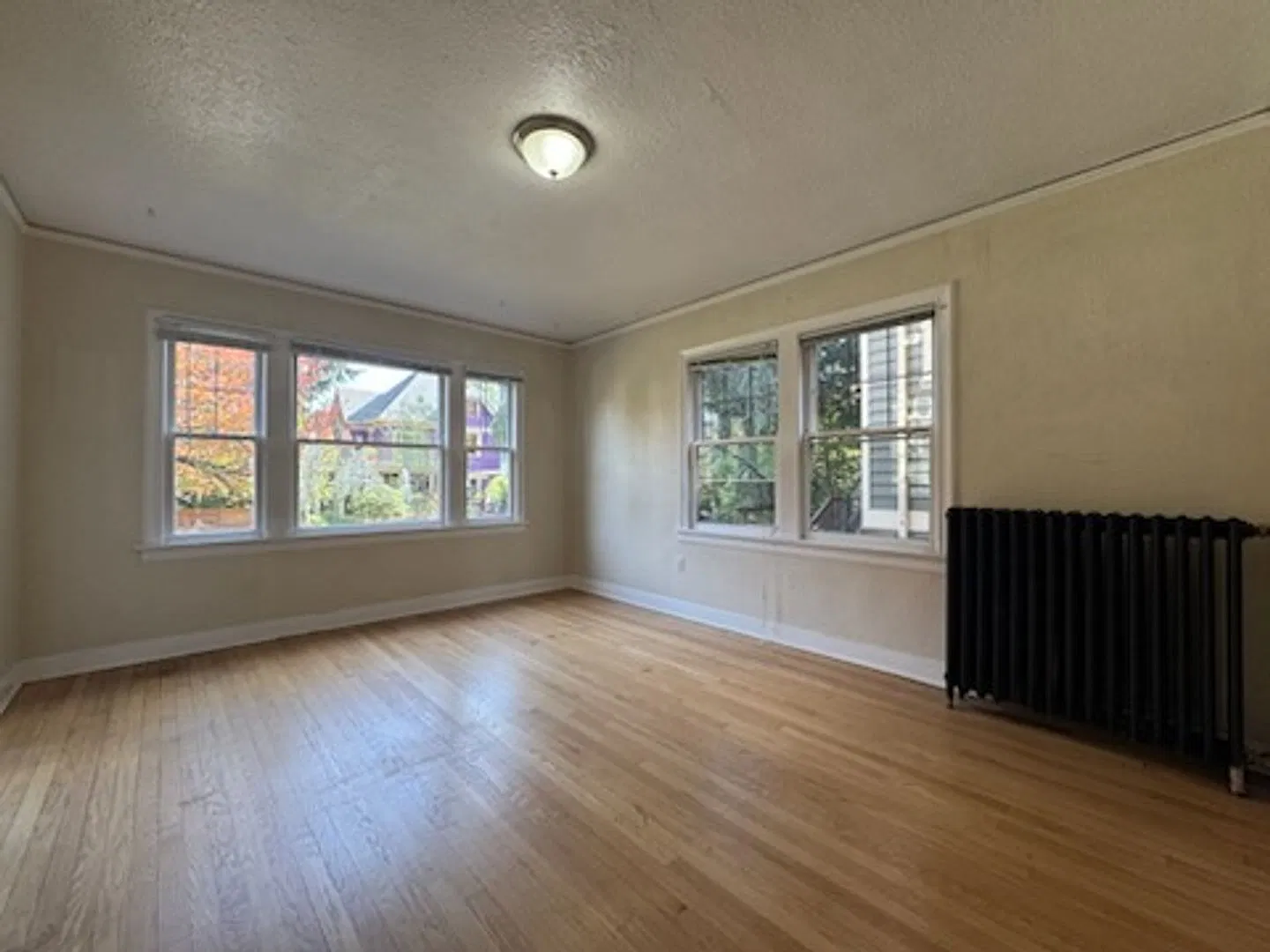 Palamar Apartments — Photo 4