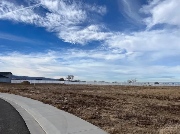 1009 Sean Ln, Fruita, CO 81521
