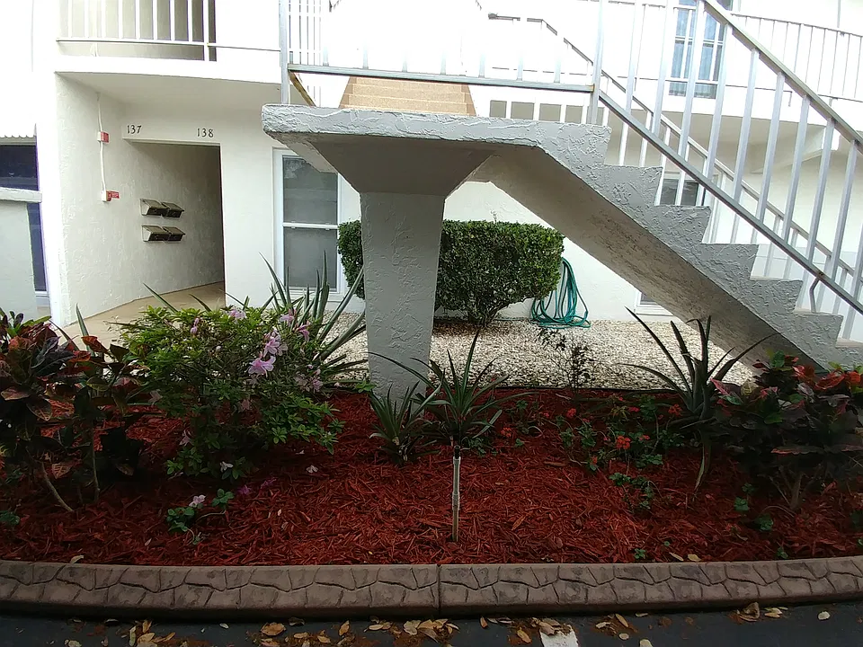 Pineapple Garden 