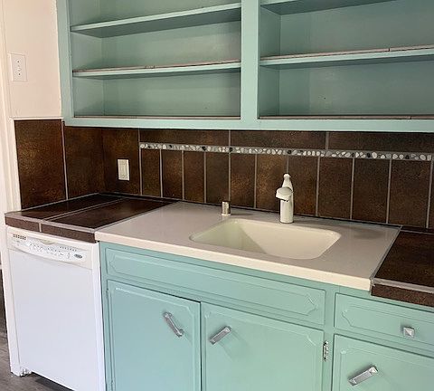 Kitchen Sink and dishwasher