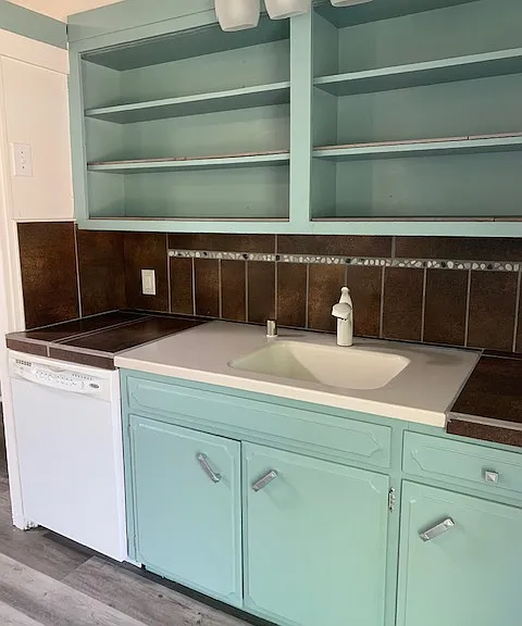Kitchen Sink and dishwasher