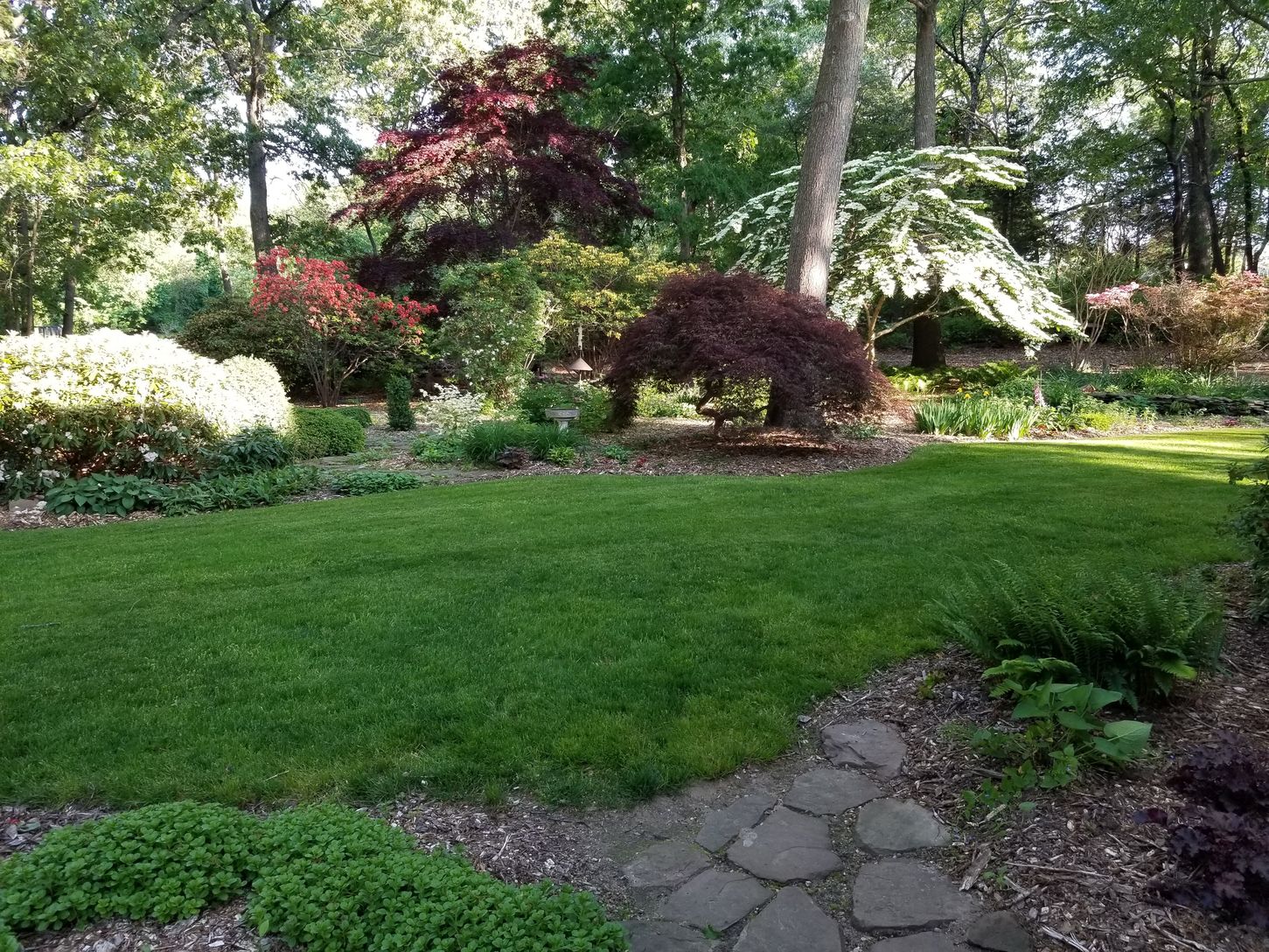  Front landscaping (when in bloom)