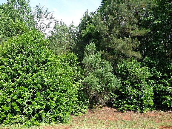 2nd image of Lots 1-2-3 Tributary Dr