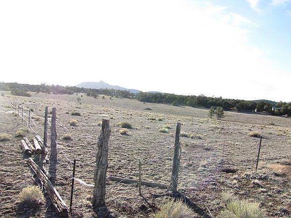4th image of 469 Blazing Saddle Trl