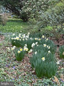 416 W 3rd St, Moorestown, NJ, 08057