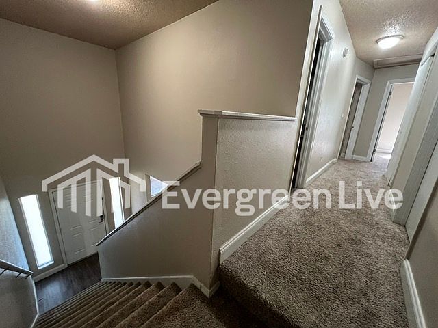 1st image of 806 Bellflower Cir