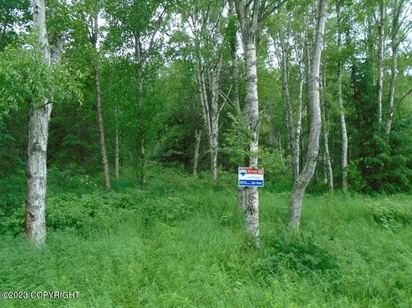 L30 Ledyard Cir, Indian, AK 99540