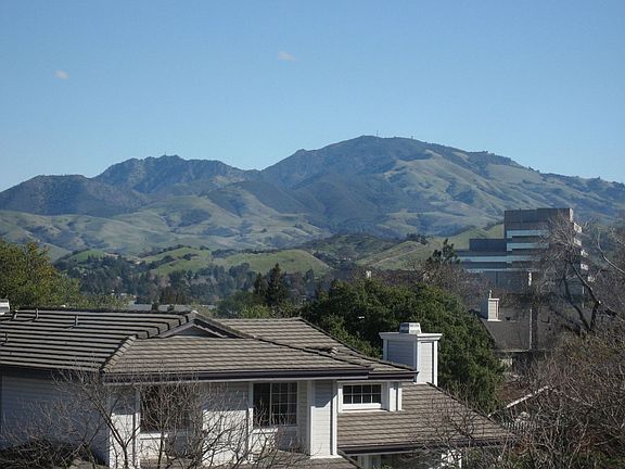 Views of Mt. Diablo