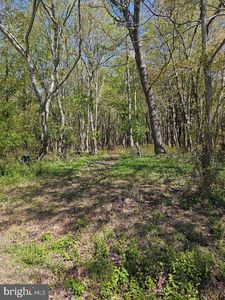 5071 Wayman Rd, Marion Station, MD, 21838